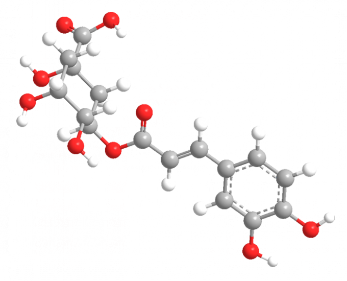 изображение 3D хлорогеновой кислоты