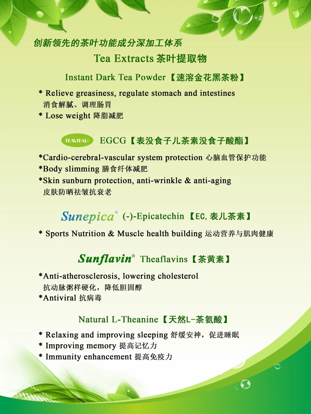 Выдержка 90% 95% зеленого чая (-)- Epicatechin (EC) CAS 490-46-0