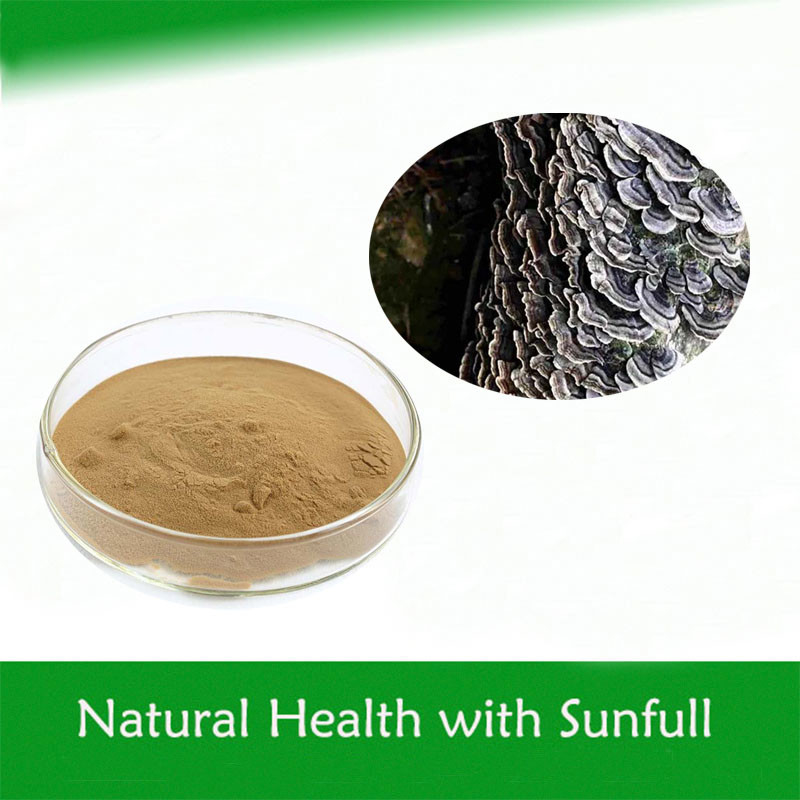 Coriolus Versicolor Экстракт 10% ~ 50% Полисакриды PSK PSP Турция хвост Экстракт грибов