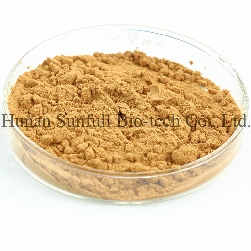 Экстракт листьев гинкго билибо 24/6 CAS 90045-36-6 Cp USP561 Ep EC396