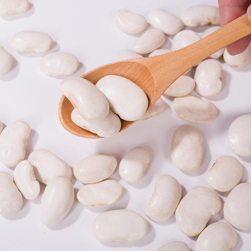 Премиальный экстракт белой фасоли (Phaseolus Vulgaris) - Высокая чистота ингибитора α-амилазы для контроля веса и уровня сахара в крови