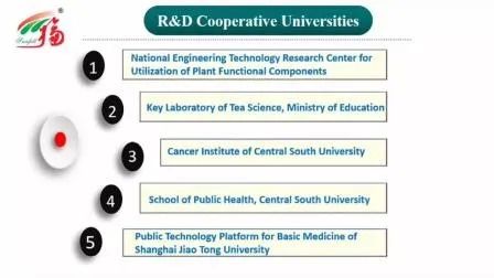 Мелкодисперсный порошок коричнево-желтого цвета, экстракт опенка медового с хорошей растворимостью в воде для пищевых целей