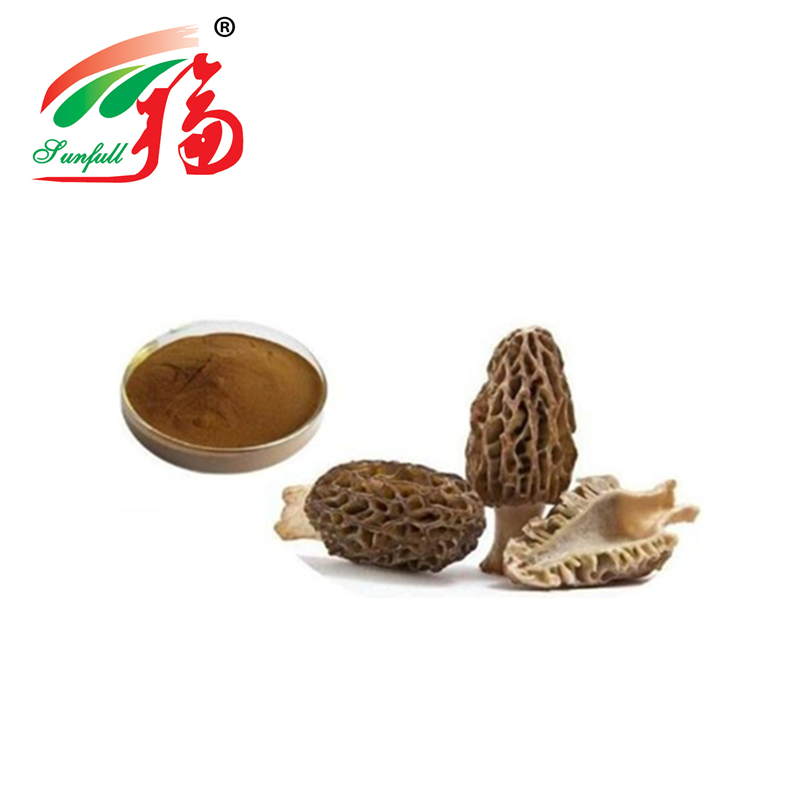 Natural Morchella Esculenta Extract Powder with 100% Through 80 Mesh 2 Years Lifetime and 20t/Year Production Capacity