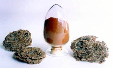 Coriolus Versicolor Extract 30% полисахариды для функциональной пищи с регуляцией сахара в крови и снижением мокроты