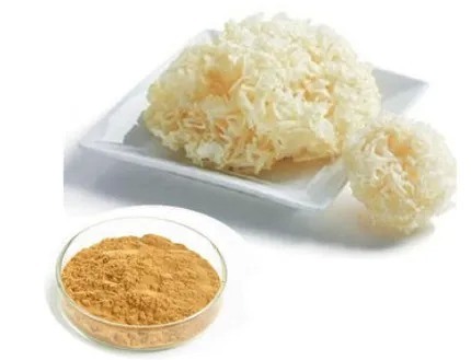 Food Grade White Fungus Extract with 20% Polysaccharides for Regulating Blood Sugar and Anti-Aging
