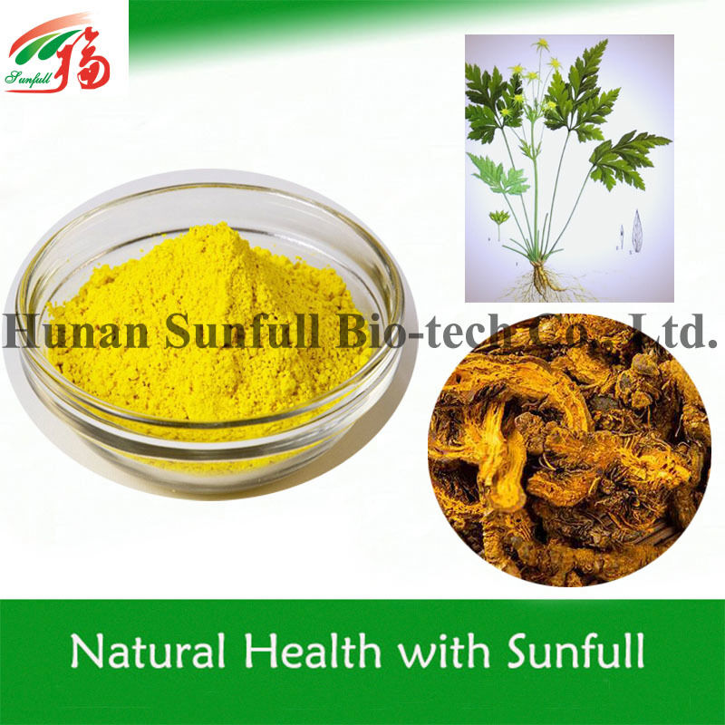 100% натуральный гидрохлорид берберина 97% 98% из корня Coptis chinensis с номером CAS 633-65-8