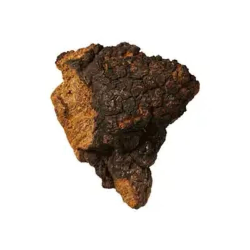 Экстракт Чаги 50% полисахариды для функциональной пищи для повышения иммунитета в виде грибного экстракта в порошке