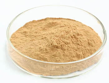 Порошок экстракта вешенки с 50% полисахаридов для функционального питания и противоопухолевых свойств