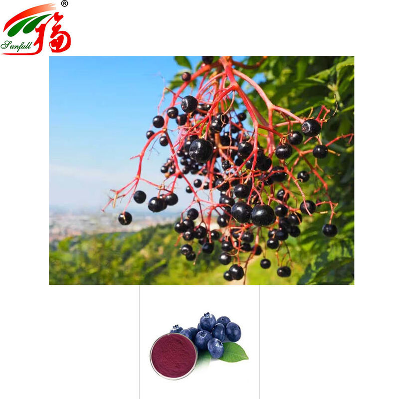 Factory Direct Sales Bilberry Extract 25% Anthocyanidins (UV-VIS) for Food and Health Supplements