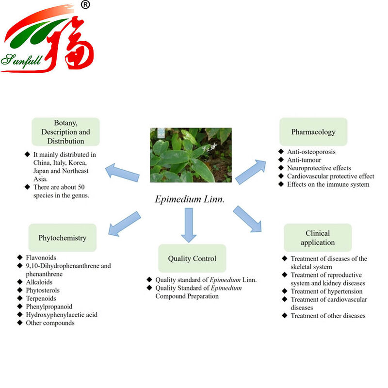Прямая поставка с завода 100% натуральный экстракт эпимедиума 30% икариинов для улучшения сексуальной функции и пищевых добавок для здоровья
