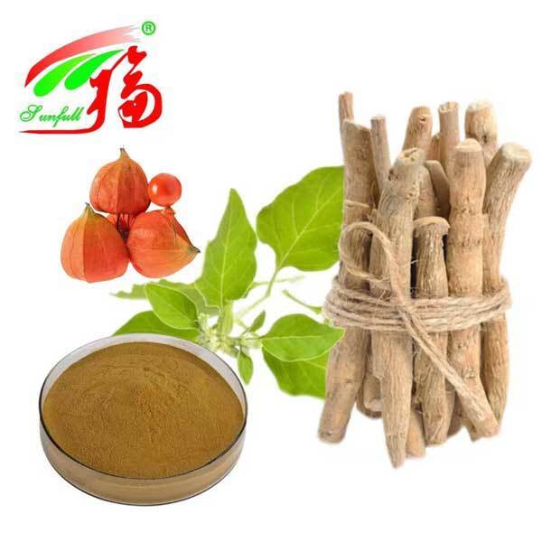 Экстракт корня Ашваганды (Withania Somnifera) Южная Африка Витанолиды 5% Продукты для здоровья и питания