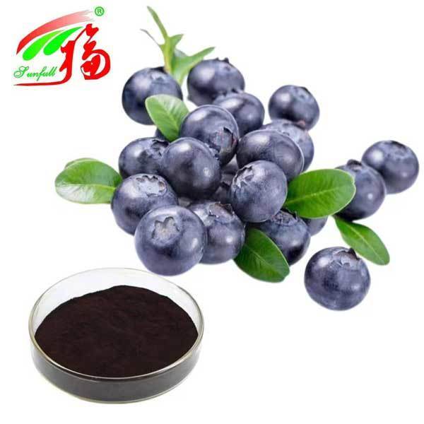 Экстракт черники 10% 25% антоцианидинов (УФ-ВИД) Антиоксидант Vaccinium Myrtillus L. Черника для поддержки зрения БАД
