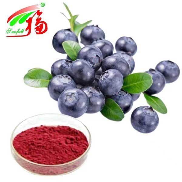 Экстракт черники 10% 25% антоцианидинов (УФ-ВИД) Антиоксидант Vaccinium Myrtillus L. Черника для поддержки зрения БАД