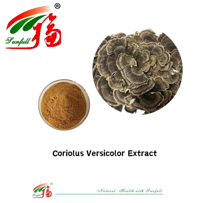 Диетические добавки Hunan Sunfull Agaricus Subrufescens/Hericium Erinaceus/Antrodia/Cordyceps Sinensis/Coriolus Versicolor/Муховой экстракт в порошке