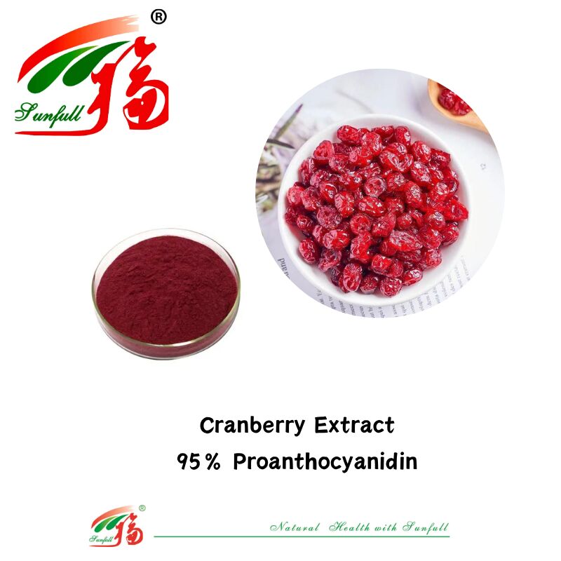 Производственная поставка Высокое качество 100% натуральные антиоксиданты ОПК Проантоцианидин 95% экстракт из кожицы арахиса/коры сосны/кранберри/семен винограда