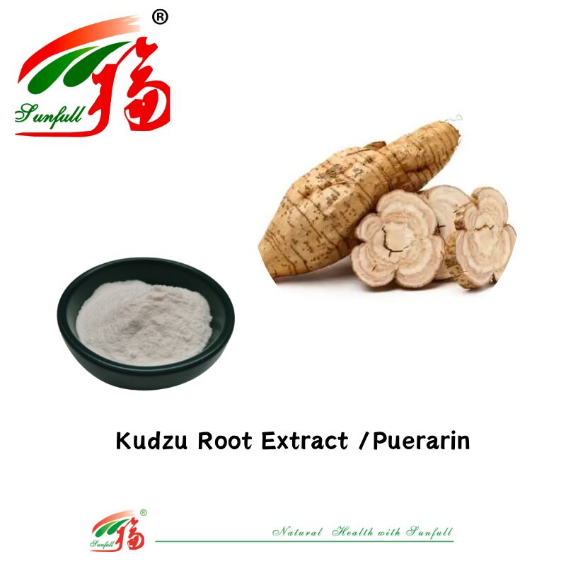 Бесплатный образец Высококачественный экстракт корня кудзу Pueraria Lobata Экстракт пуерарина 10%-98% CAS 3681-99-0