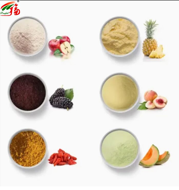 Фруктовые ингредиенты. Здоровая пища. Высокое качество. Хороший вкус и растворимость в воде. Напитки. Лиофилизированный порошок. Различные фруктовые порошки.