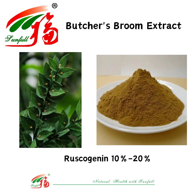 Высокое качество, заводская цена, экстракт корня Ruscus Aculeatus, 10%-20% экстракт метлы мясника рускогенина