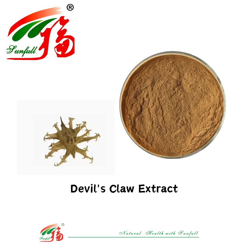 Природный чистый CAS 19210-12-9 Harpagophytum Procumbens порошок 5% Harpagoside Devils Claw экстракт