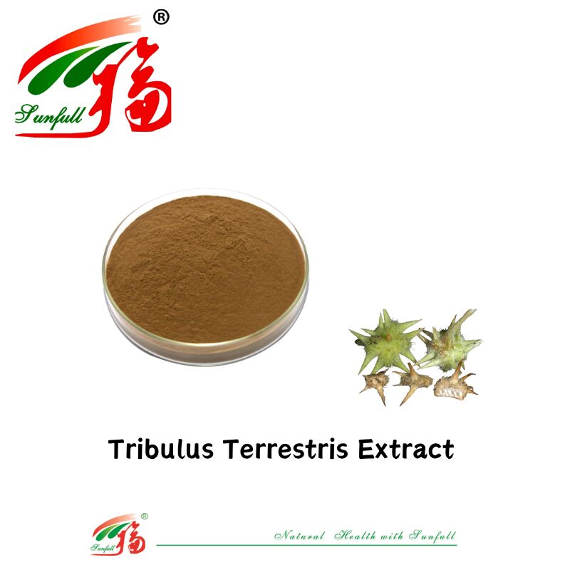 China Factory Hot Sell Man Health Food Grade Tribulus Extract Free Sample Tribulus Terrestris Extract Powder 40%-90% Сапонины, содержащие трибулоз, трибулоз, трибулоз, трибулоз, трибулоз, трибулоз, трибулоз, трибулоз, трибулоз, трибулоз, трибулоз, трибулоз, трибулоз, трибулоз, трибулоз, трибулоз