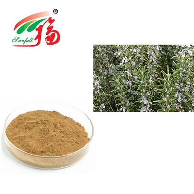 Розмари извлекает кислоту 30% Rosmarinic для анти- старея Rosmarinus Officinalis