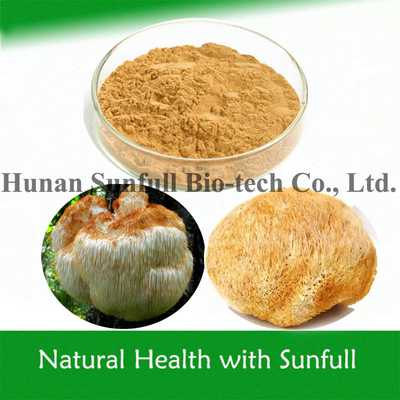 Органический Hericium Erinaceus Powder Львиная грива экстракт для здоровой пищи