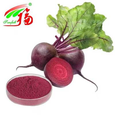 Beet Root Extract 1%-25% Betanin Beetroots Extract Beta Vulgaris L. Health Care Products